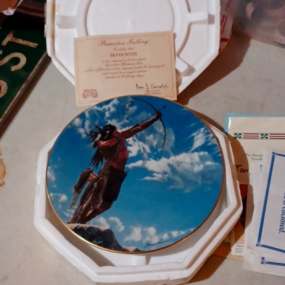 New Vintage Skyhunter Indian decorative plate A1602 Princeton Gallery